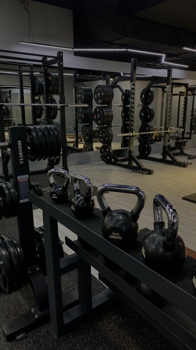 Gym & Wellness